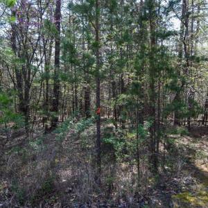 Photo #23 of 100 Waterway Court, Lynch Station, VA 0.7 acres