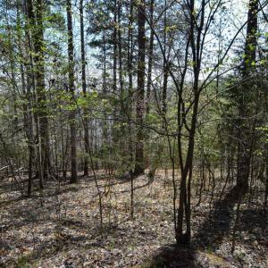 Photo #25 of 100 Waterway Court, Lynch Station, VA 0.7 acres