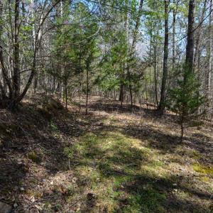 Photo #28 of 100 Waterway Court, Lynch Station, VA 0.7 acres