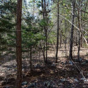Photo #24 of 100 Waterway Court, Lynch Station, VA 0.7 acres
