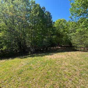Photo #5 of 1175 Jasper Mountain Road, Gretna, VA 8.8 acres