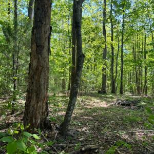 Photo #2 of Discovery Trail, Big Island, VA 7.0 acres