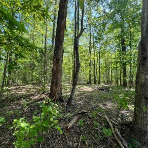 Photo #1 of Discovery Trail, Big Island, VA 7.0 acres