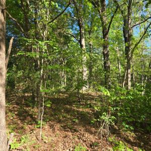 Photo #2 of Hudson Street, Farmville, VA 26.3 acres