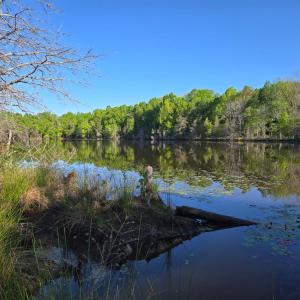 Photo #1 of Hudson Street, Farmville, VA 26.3 acres