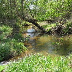 Photo #3 of 63 Sugar Hill Tunnel Road, Amherst, VA 63.9 acres