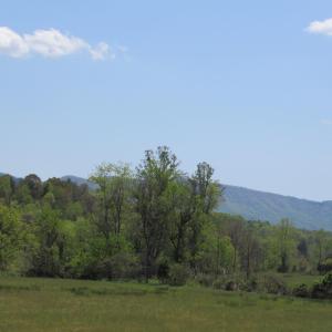 Photo #4 of 63 Sugar Hill Tunnel Road, Amherst, VA 63.9 acres