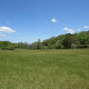 Photo #5 of 63 Sugar Hill Tunnel Road, Amherst, VA 63.9 acres