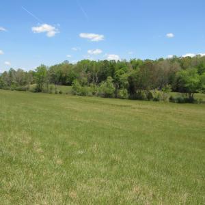 Photo #19 of 63 Sugar Hill Tunnel Road, Amherst, VA 63.9 acres