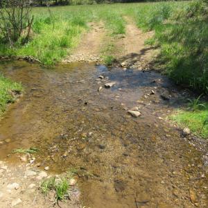 Photo #7 of 63 Sugar Hill Tunnel Road, Amherst, VA 63.9 acres