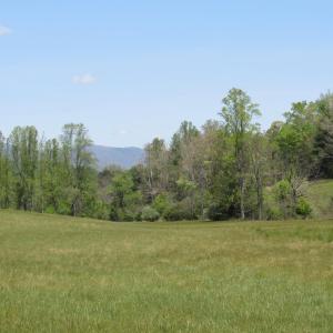 Photo #6 of 63 Sugar Hill Tunnel Road, Amherst, VA 63.9 acres