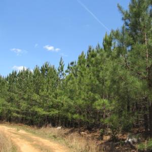 Photo #20 of 63 Sugar Hill Tunnel Road, Amherst, VA 63.9 acres