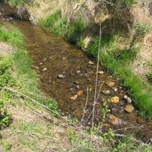 Photo #12 of 63 Sugar Hill Tunnel Road, Amherst, VA 63.9 acres