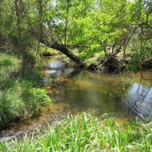 Photo #8 of 63 Sugar Hill Tunnel Road, Amherst, VA 63.9 acres