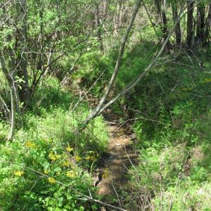 Photo #16 of 63 Sugar Hill Tunnel Road, Amherst, VA 63.9 acres