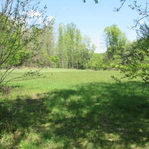 Photo #15 of 63 Sugar Hill Tunnel Road, Amherst, VA 63.9 acres