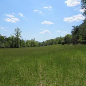 Photo #13 of 63 Sugar Hill Tunnel Road, Amherst, VA 63.9 acres