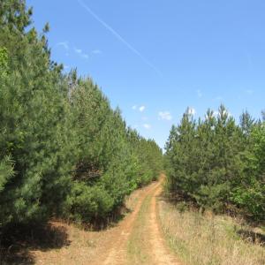 Photo #2 of 63 Sugar Hill Tunnel Road, Amherst, VA 63.9 acres