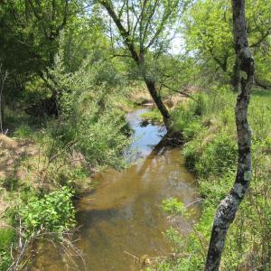 Photo #11 of 63 Sugar Hill Tunnel Road, Amherst, VA 63.9 acres