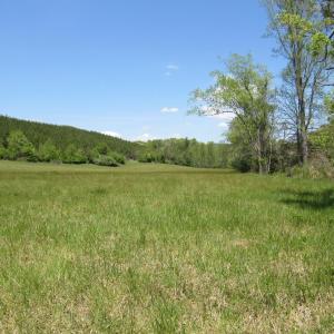 Photo #9 of 63 Sugar Hill Tunnel Road, Amherst, VA 63.9 acres