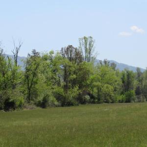 Photo #14 of 63 Sugar Hill Tunnel Road, Amherst, VA 63.9 acres