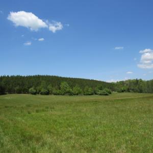 Photo #1 of 63 Sugar Hill Tunnel Road, Amherst, VA 63.9 acres