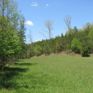 Photo #17 of 63 Sugar Hill Tunnel Road, Amherst, VA 63.9 acres