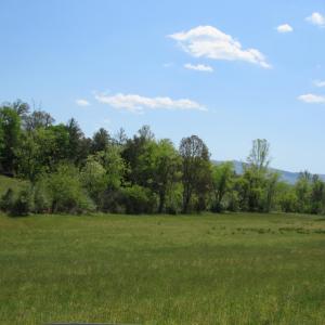 Photo #18 of 63 Sugar Hill Tunnel Road, Amherst, VA 63.9 acres