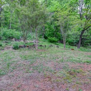 Photo #56 of 952 Naked Mountain Lane, Shipman, VA 87.6 acres