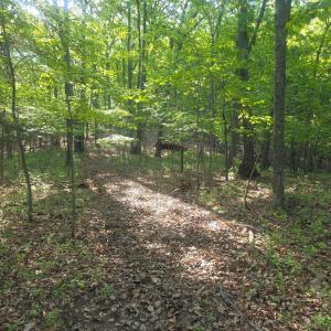 Photo #2 of Nighthawk Road, Lynchburg, VA 12.2 acres