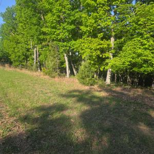Photo #5 of Nighthawk Road, Lynchburg, VA 12.2 acres