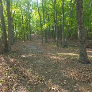 Photo #4 of Nighthawk Road, Lynchburg, VA 12.2 acres
