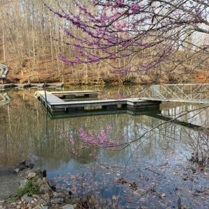 Photo #5 of 1 Sunset Bay Road, Gretna, VA 1.3 acres