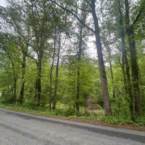 Photo #1 of Timberview Road, Roanoke, VA 24.8 acres