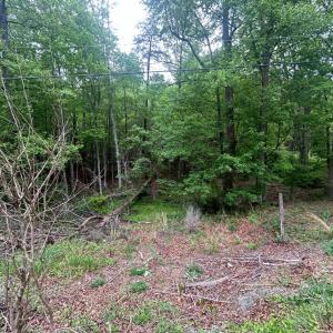 Photo #4 of Timberview Road, Roanoke, VA 24.8 acres