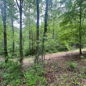 Photo #2 of Timberview Road, Roanoke, VA 24.8 acres