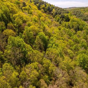 Photo #22 of Coffeytown Rd., Vesuvius, VA 27.0 acres