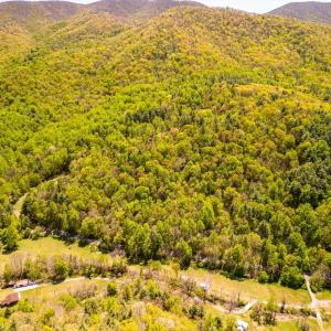 Photo #5 of Coffeytown Rd., Vesuvius, VA 27.0 acres