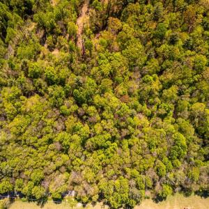 Photo #18 of Coffeytown Rd., Vesuvius, VA 27.0 acres