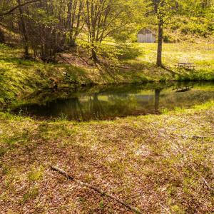 Photo #4 of Coffeytown Rd., Vesuvius, VA 27.0 acres