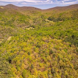 Photo #28 of Coffeytown Rd., Vesuvius, VA 27.0 acres