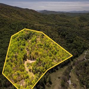 Photo #12 of Coffeytown Rd., Vesuvius, VA 27.0 acres