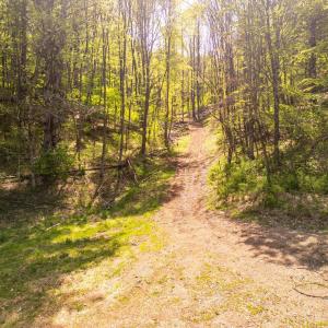 Photo #31 of Coffeytown Rd., Vesuvius, VA 27.0 acres