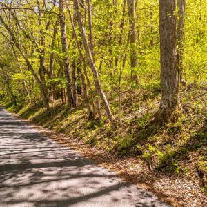 Photo #6 of Coffeytown Rd., Vesuvius, VA 27.0 acres