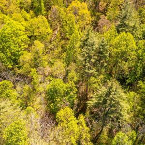 Photo #8 of Coffeytown Rd., Vesuvius, VA 27.0 acres