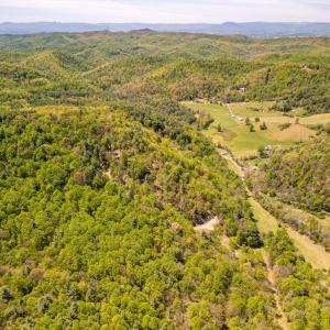 Photo #16 of Coffeytown Rd., Vesuvius, VA 27.0 acres