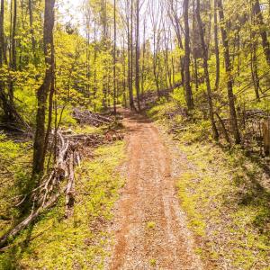 Photo #33 of Coffeytown Rd., Vesuvius, VA 27.0 acres