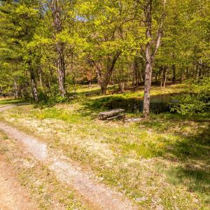 Photo #36 of Coffeytown Rd., Vesuvius, VA 27.0 acres