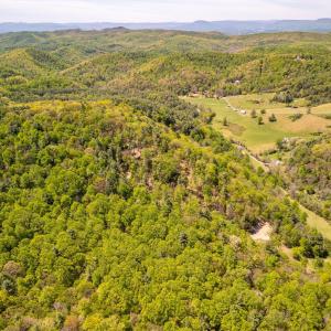 Photo #17 of Coffeytown Rd., Vesuvius, VA 27.0 acres