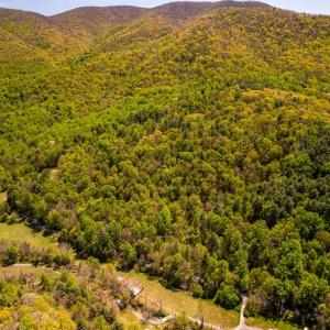 Photo #1 of Coffeytown Rd., Vesuvius, VA 27.0 acres